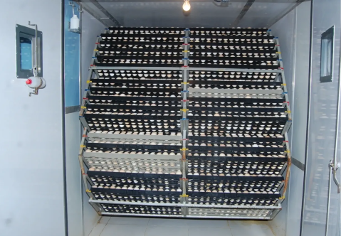 15120/5040 Eggs Capacity Incubator & Hatcher