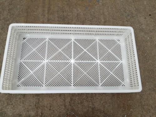 90 Eggs Capacity Hatching Tray